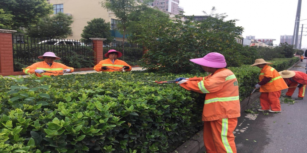 新站區(qū)道路清掃保潔、綠化管養(yǎng)項(xiàng)目